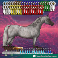 Horse Color:Silver Brown Roan Tobiano 