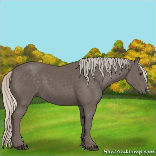 Horse Color:Silver Black 