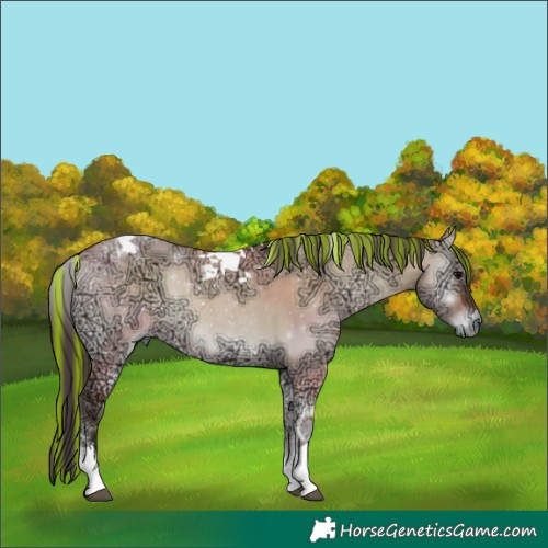 Horse Color:Painted Bay Ice Onyx Tobiano