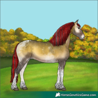 Horse Color:Painted Brown Onyx Tobiano 