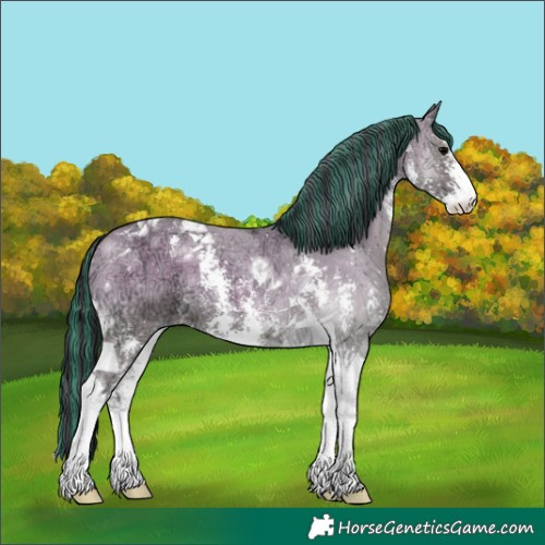 Horse Color:Painted Grullo Ice Onyx Sabino Tobiano 