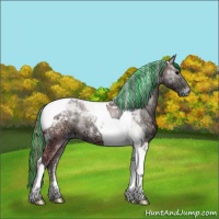 Horse Color:Painted Grullo Ice Onyx Tobiano 