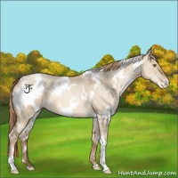 Horse Color:White Spotted Liver Red Dun Pearl