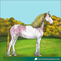 Horse Color:Painted Bay Onyx Sabino Tobiano
