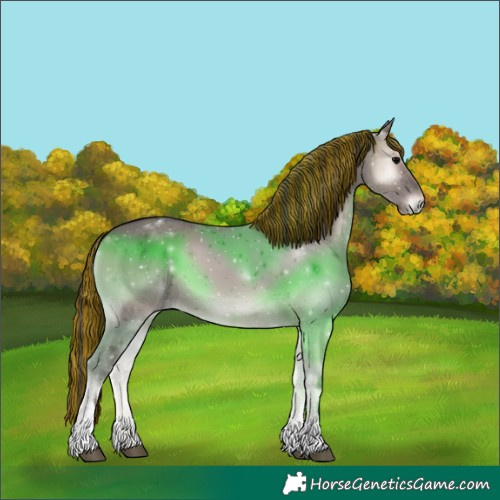 Horse Color:Painted Grullo Onyx Tobiano 