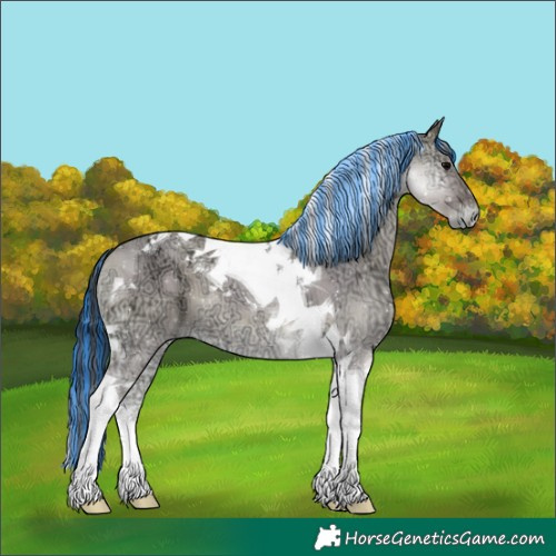 Horse Color:Painted Grullo Ice Onyx Tobiano 