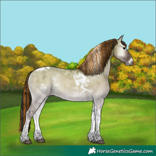 Horse Color:Painted Grullo Onyx Tobiano 