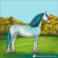 Horse Color:Painted Brown Onyx Tobiano 