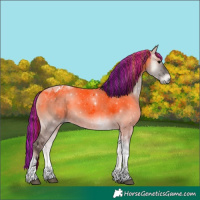Horse Color:Painted Grullo Onyx Tobiano 