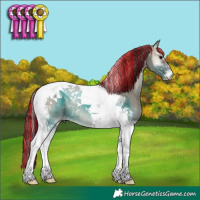 Horse Color:Painted Grullo Onyx Tobiano 