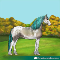 Horse Color:Painted Blue Onyx Tobiano 