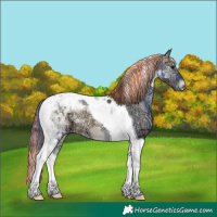 Horse Color:Painted Bay Ice Onyx Tobiano 