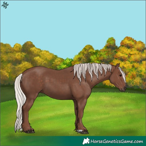 Horse Color:Silver Black 