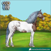 Horse Color:Painted Bay Ice Onyx Tobiano 