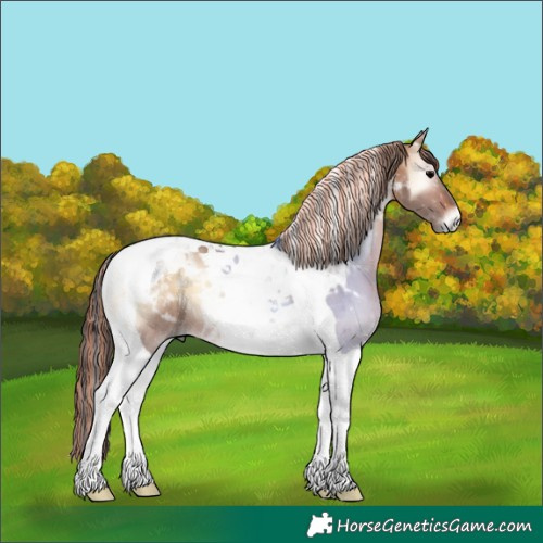 Horse Color:Painted Bay Onyx Tobiano 