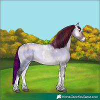 Horse Color:Painted Brown Onyx Sabino Tobiano 