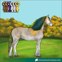 Horse Color:Painted Grullo Onyx Sabino Tobiano 