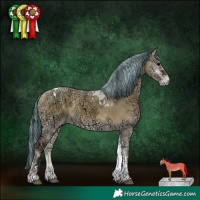 Horse Color:Painted Grullo Ice Onyx Tobiano 