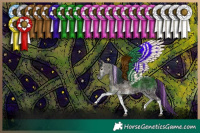 Horse Color:Painted Grullo Ice Onyx Tobiano