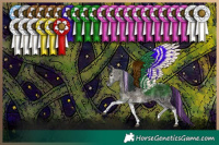Horse Color:Painted Grullo Ice Onyx Tobiano
