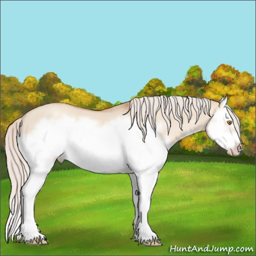 Horse Color:Silver Classic Champagne Dun Splash Frame 