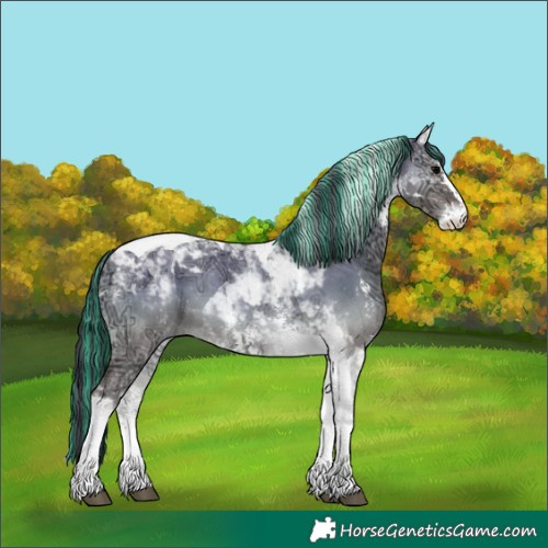 Horse Color:Painted Grullo Ice Onyx Sabino Tobiano 