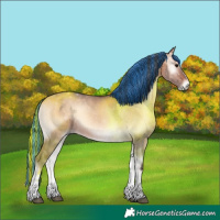 Horse Color:Painted Bay Onyx Sabino Tobiano 