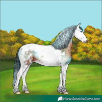 Horse Color:Painted Bay Onyx Sabino Splash Tobiano 