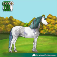 Horse Color:Painted Grullo Ice Onyx Sabino Splash Tobiano 