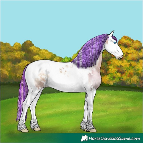Horse Color:Painted Bay Onyx Sabino Splash Tobiano