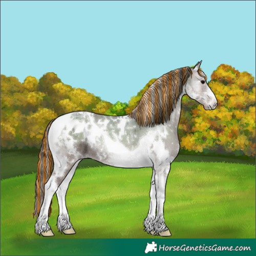 Horse Color:Painted White Spotted Grullo Onyx Tobiano Rabicano 
