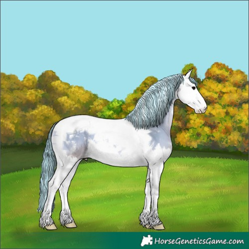 Horse Color:Painted Bay Onyx Sabino Splash Tobiano 