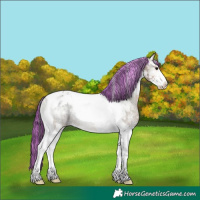Horse Color:Painted Bay Onyx Sabino Tobiano Rabicano