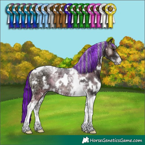 Horse Color:Painted White Spotted Blue Onyx Ice Tobiano Rabicano 