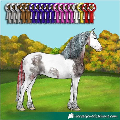 Horse Color:Painted Grullo Ice Onyx Sabino Splash Tobiano Rabicano 
