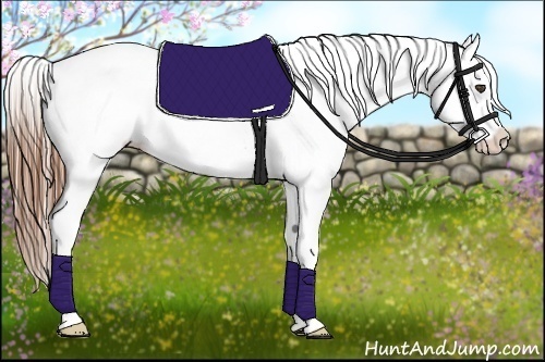 Horse Color:White Spotted Red Dun Varnish 