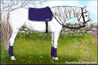 Horse Color:White Spotted Red Dun Varnish 