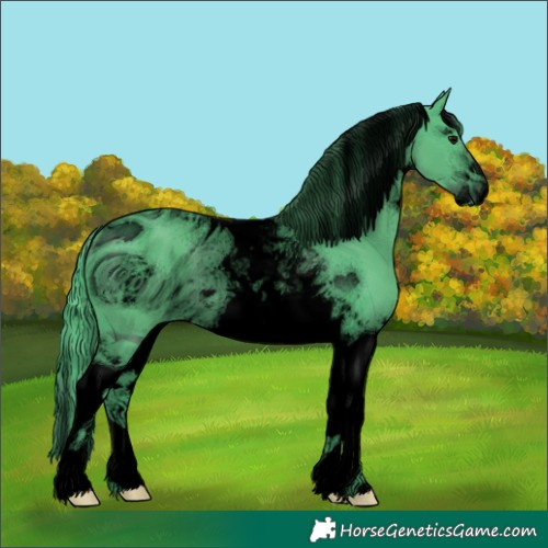 Horse Color:ERROR: UNKNOWN ANOMALY