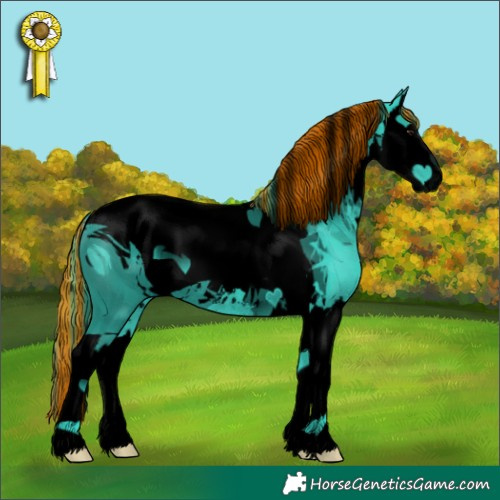 Horse Color:ERROR: UNKNOWN ANOMALY