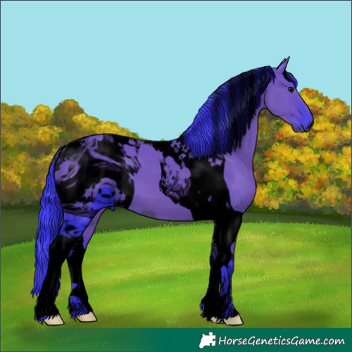 Horse Color:ERROR: UNKNOWN ANOMALY