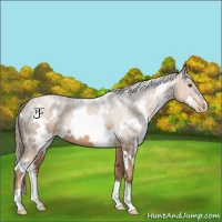 Horse Color:White Spotted Liver Chestnut Pearl 