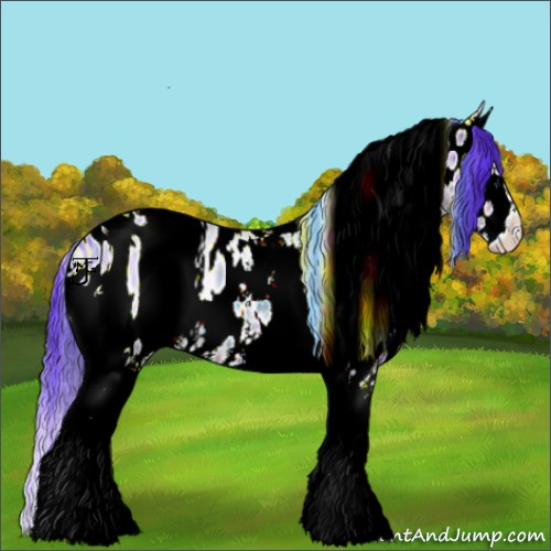 Horse Color:ERROR: UNKNOWN ANOMALY