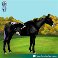 Horse Color:ERROR: UNKNOWN ANOMALY