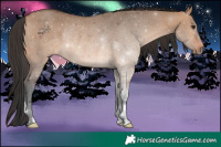 Horse Color:Bay Dun Rabicano 