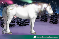 Horse Color:Nacre Grullo Sabino Splash Frame Rabicano