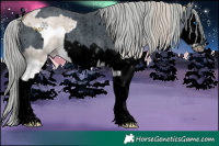 Horse Color:Silver Grullo Roan Splash Frame  and ERROR: UNKNOWN ANOMALY