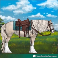 Horse Color:White Spotted Chocolate Palomino Pearl Dun 