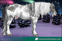 Horse Color:White Spotted Smoky Black Sabino 