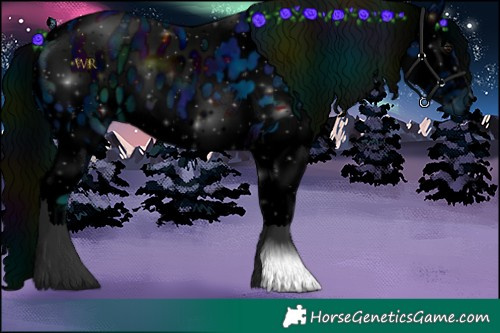Horse Color:ERROR: UNKNOWN ANOMALY