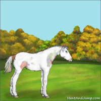 Horse Color:Nacre Smoky Grullo Pearl Splash Tobiano 